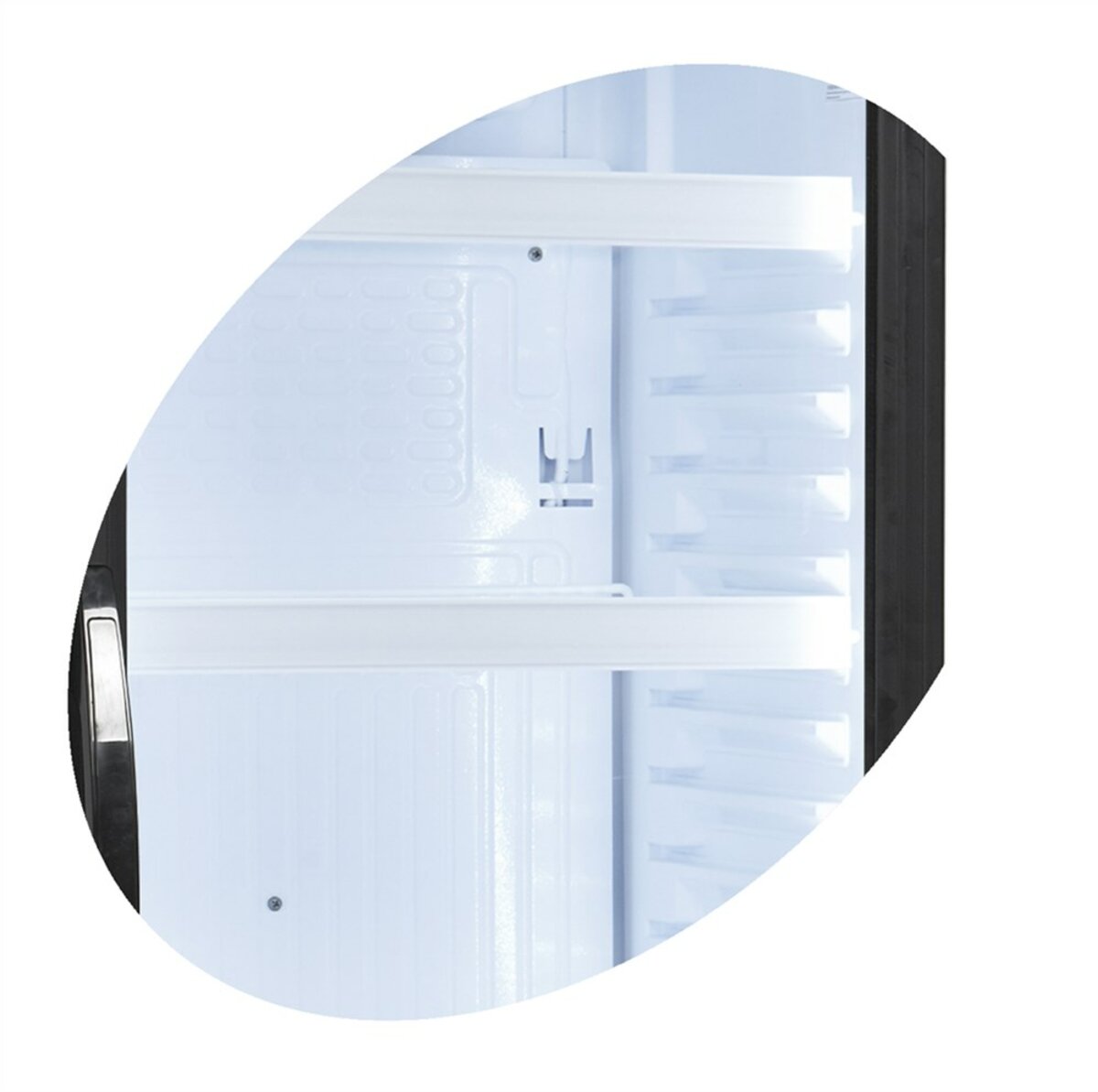 Шафа холодильна CEV425CP 2 LED (Tefcold) 1