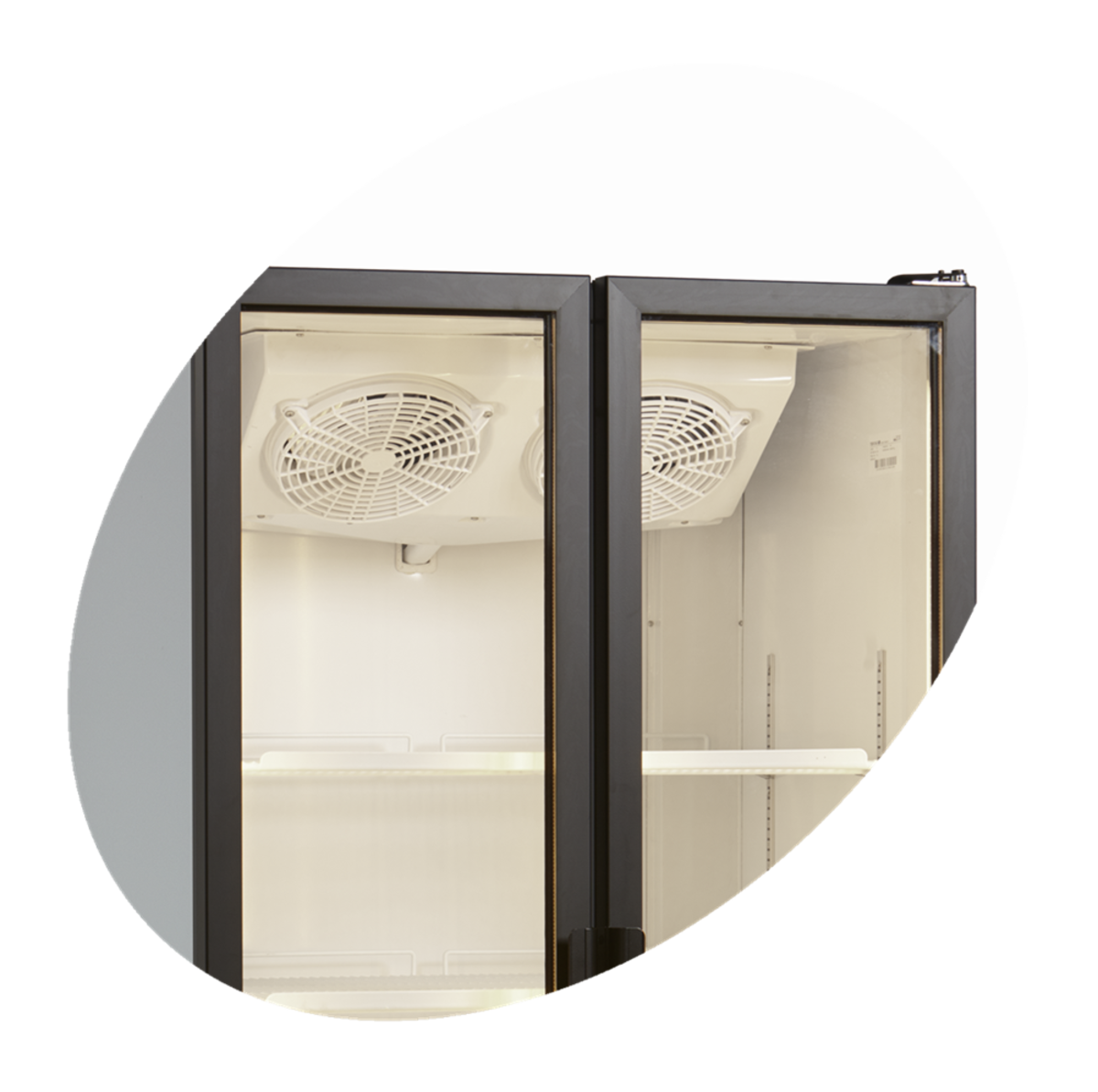 Шафа холодильна FS890H (Tefcold) 0
