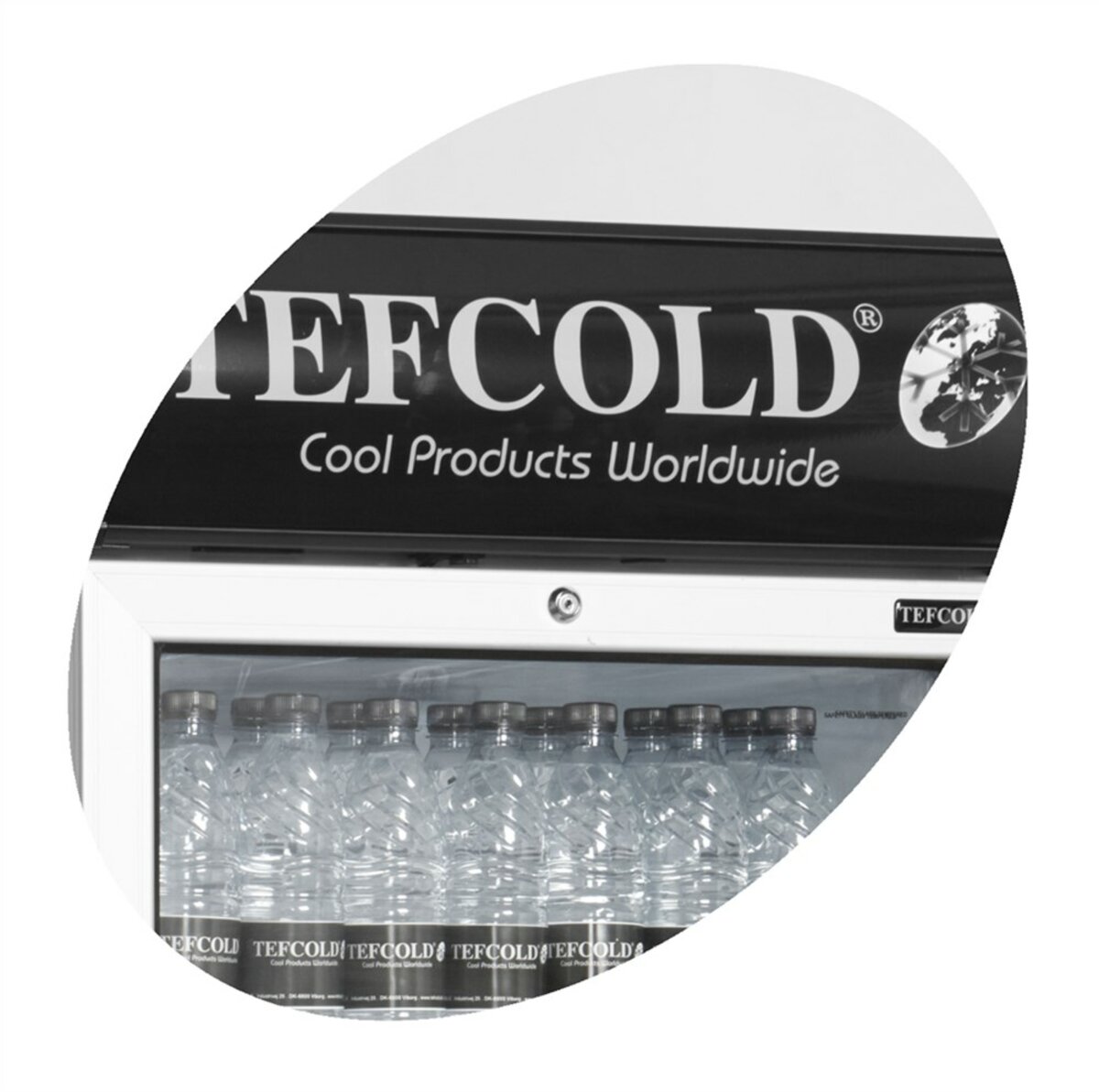 Шкаф холодильный FSC1380 (Tefcold) 1