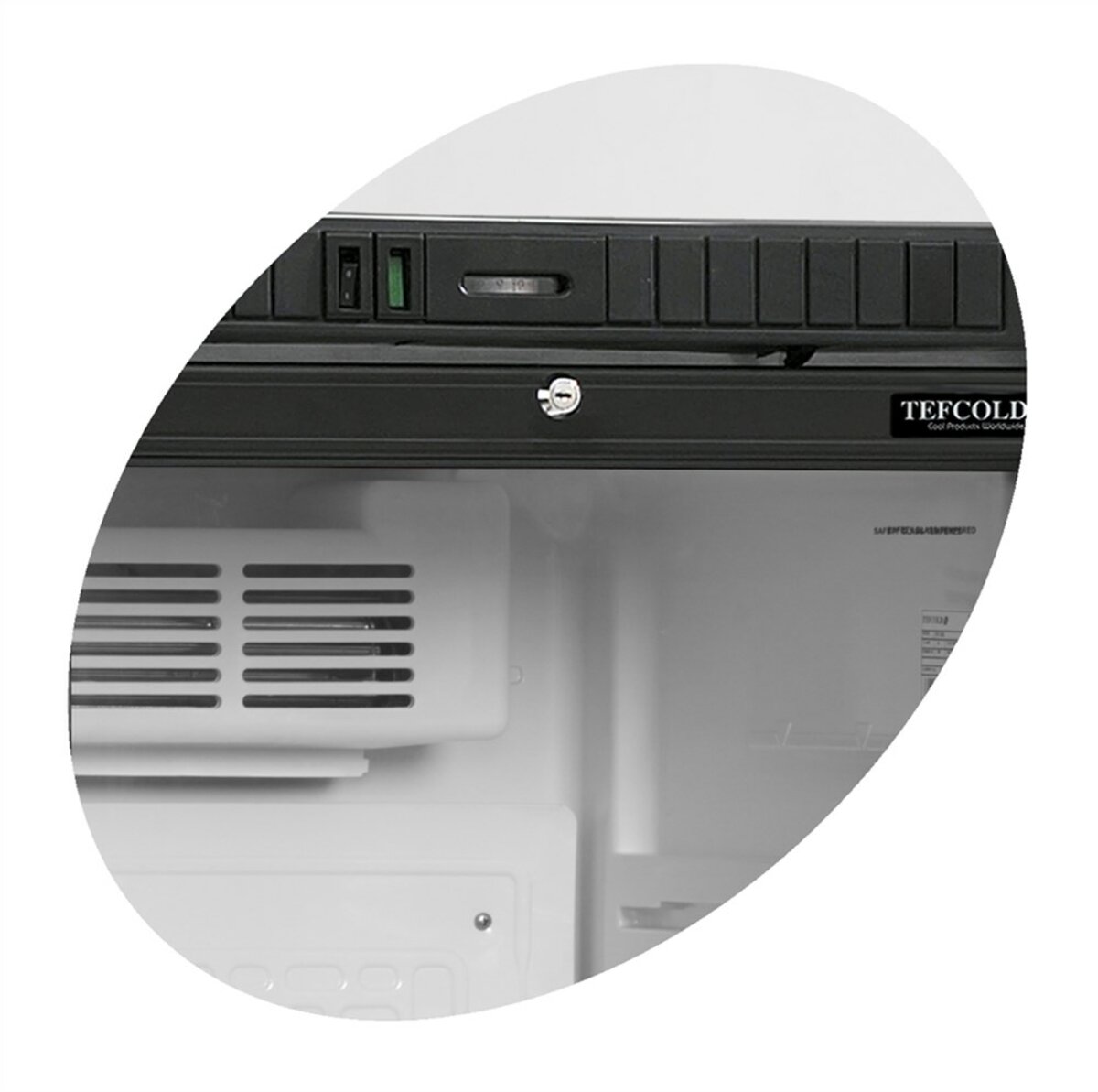 Шкаф холодильный SCU2375 (Tefcold) 1