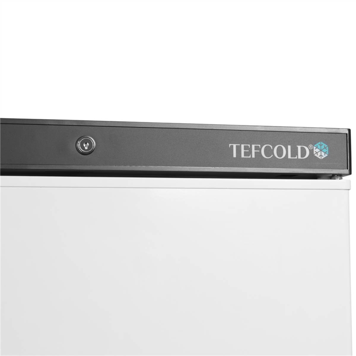 Шкаф морозильный UF200V (Tefcold) 2