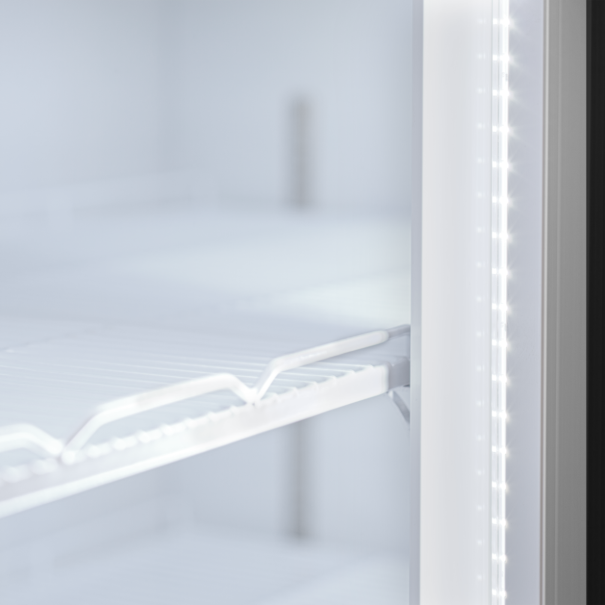 Шкаф холодильный Atom Maxi C2DB (Tefcold) 4