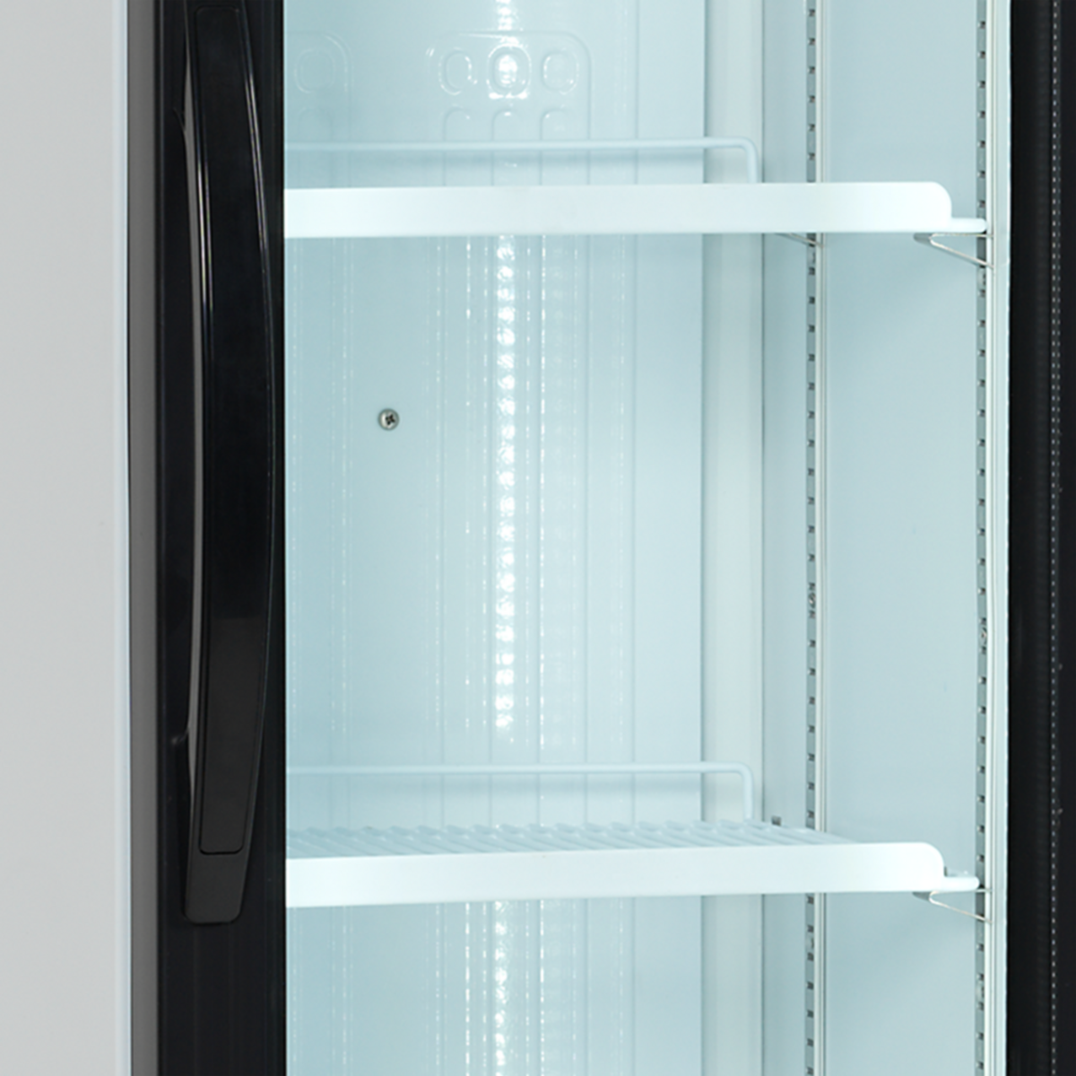 Шафа холодильна FS176H (Tefcold) 1