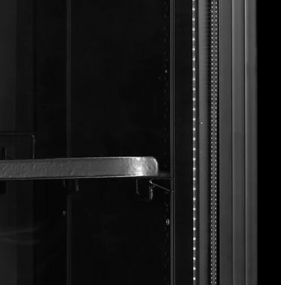 Шафа холодильна FS176H Black (Tefcold) 0
