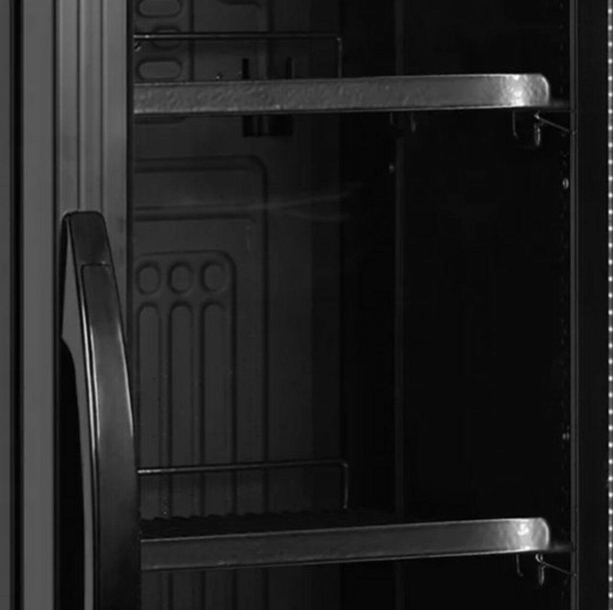 Шафа холодильна FS176H Black (Tefcold) 1