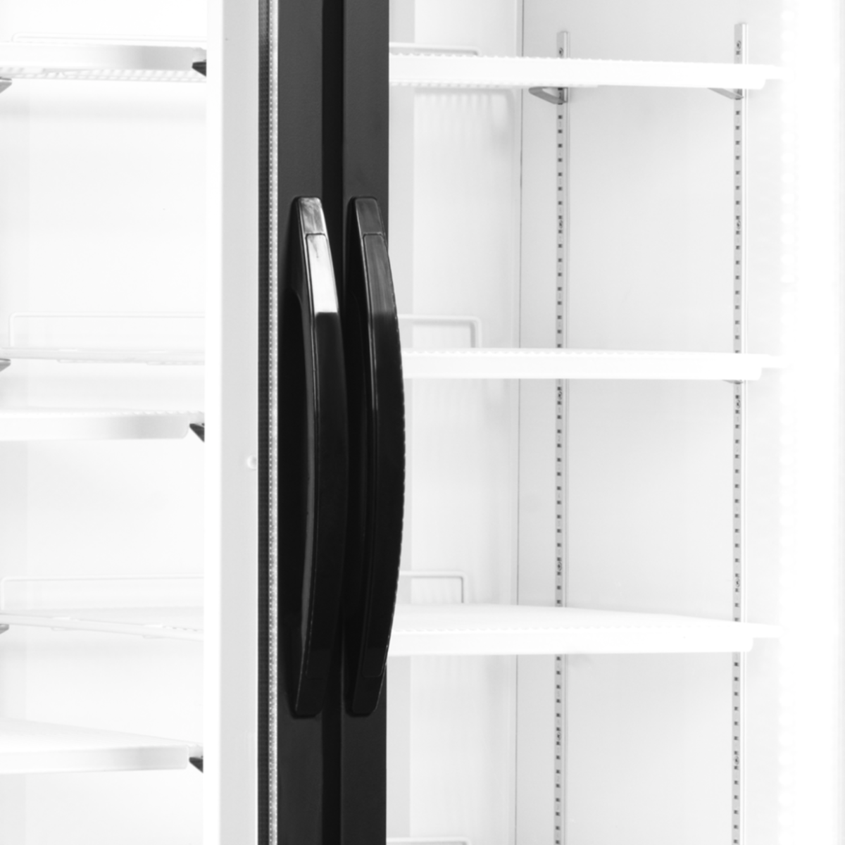 Шафа холодильна FSC891H (Tefcold) 1