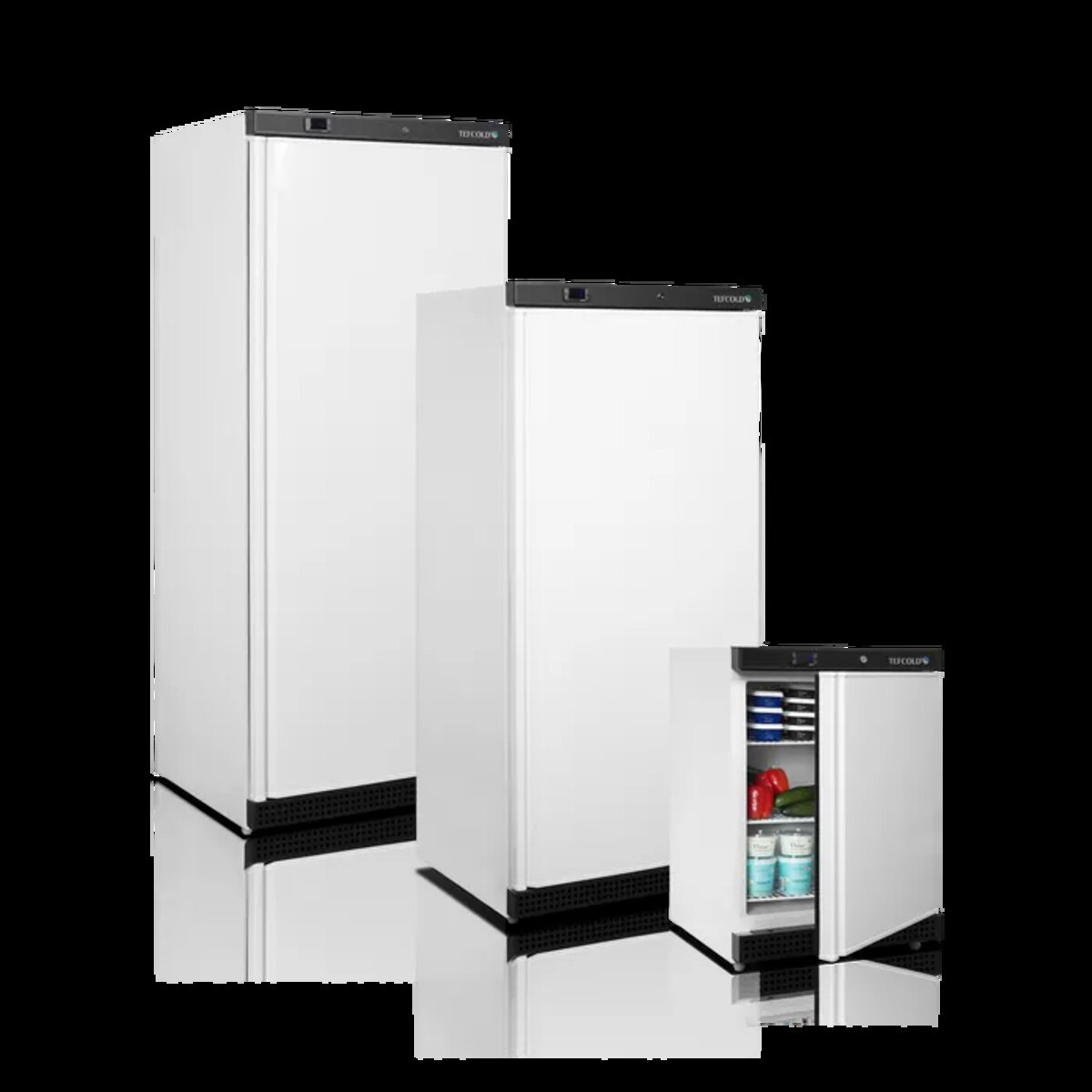 Шафа холодильна UR600W1 (Tefcold) 5