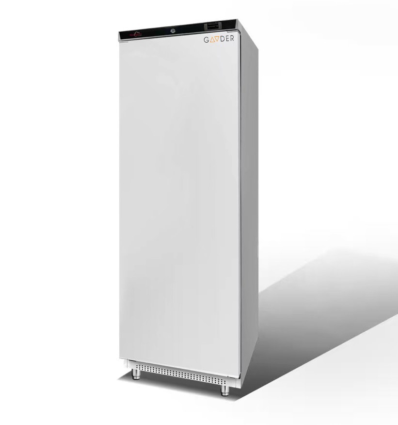 Шафа середньотемпературна BR600V Gooder