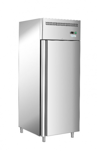 Шкаф морозильный Forcold G-PA800BT-FC