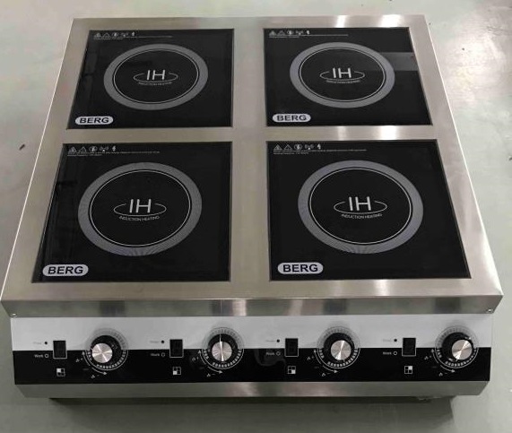 Индукционная плита BERG IG-4